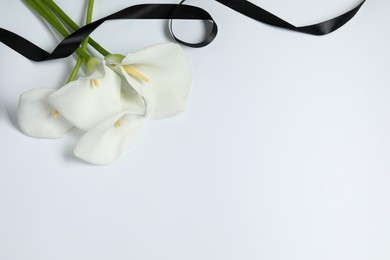 Beautiful calla lilies and black ribbon on white background, closeup with space for text. Funeral symbol