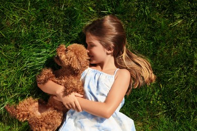 Photo of Beautiful girl with cute Maltipoo dog on green lawn outdoors, top view