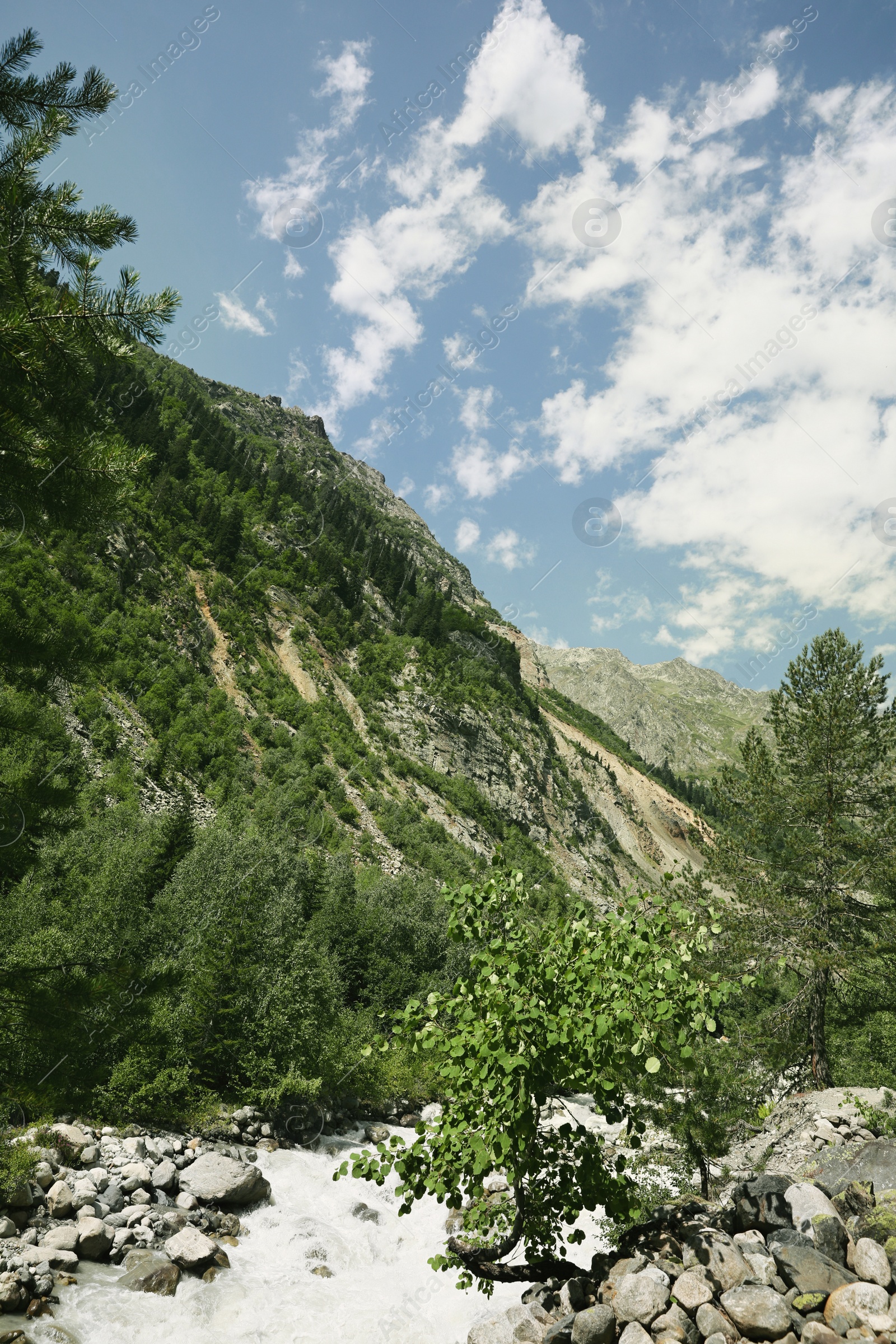 Photo of Picturesque view of beautiful river in mountains