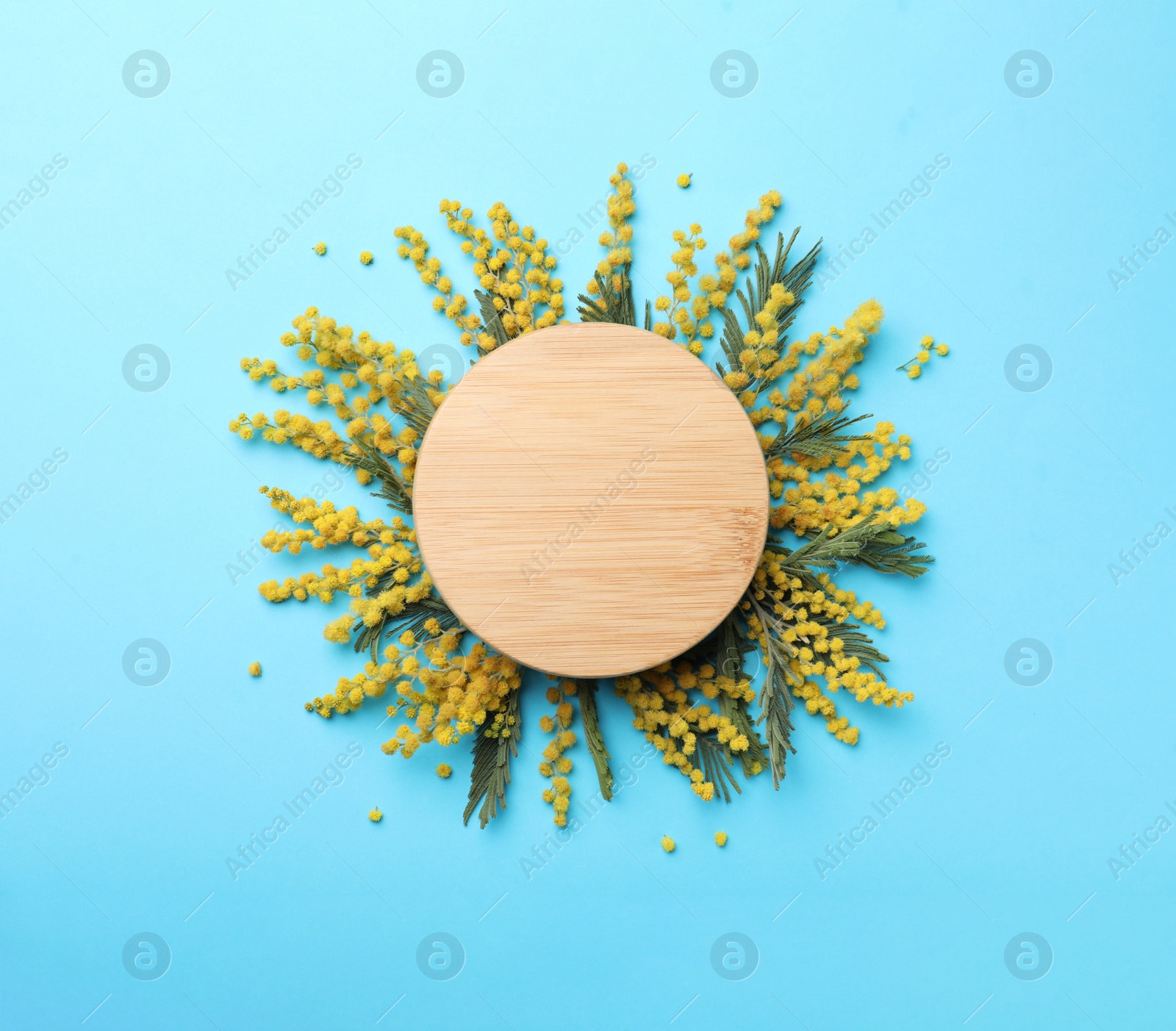 Photo of Beautiful floral composition with mimosa flowers and wooden board on light blue background, flat lay. Space for text