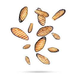 Image of Slices of grilled eggplants in air on white background