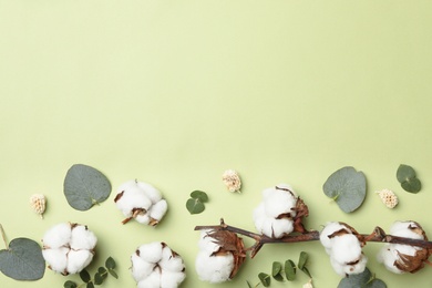 Flat lay composition with cotton flowers on green background. Space for text