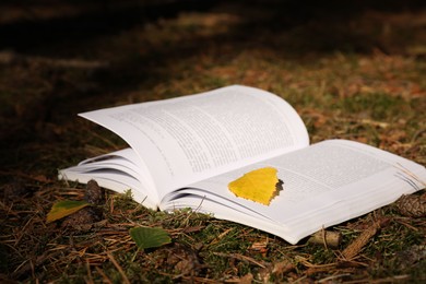 Open book and yellow leaf on grass outdoors