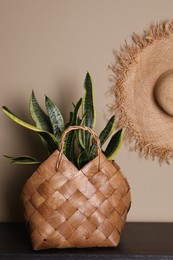 Photo of Stylish wicker basket with green plant on wooden table indoors