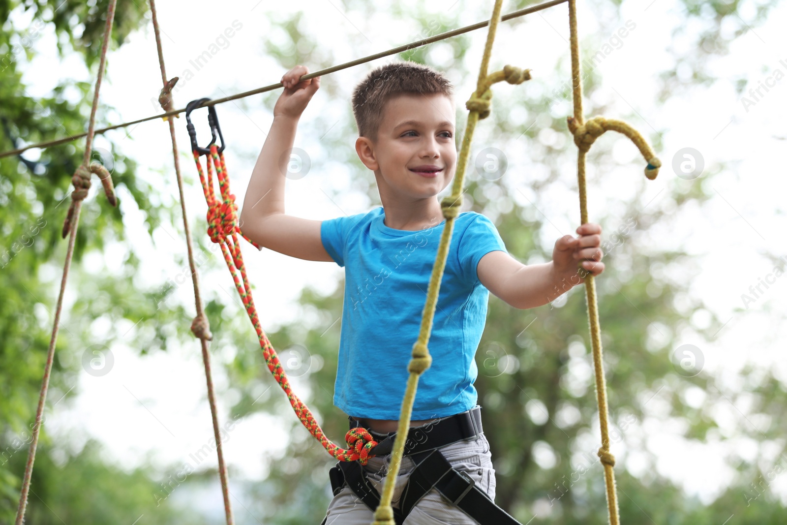 Photo of Little boy climbing in adventure park. Summer camp