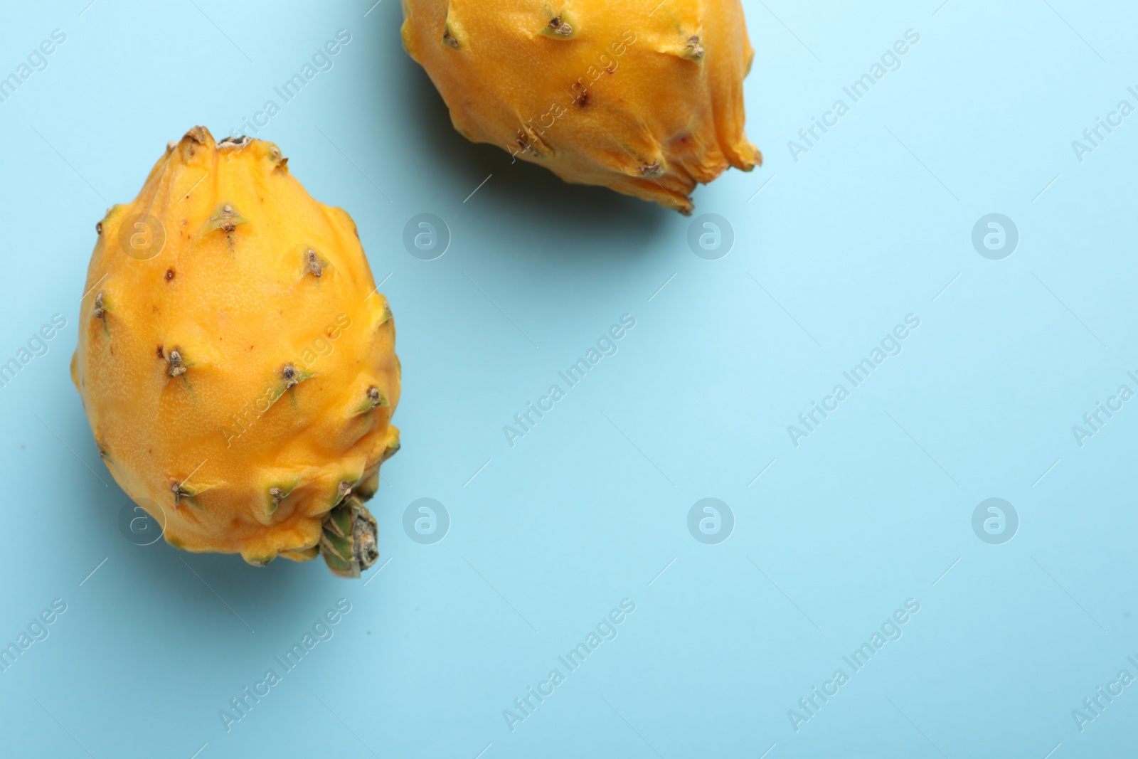 Photo of Delicious yellow pitahaya fruits on light blue background, flat lay. Space for text