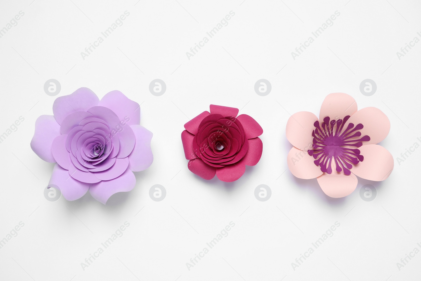 Photo of Different beautiful flowers made of paper on white background, top view