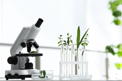 Photo of Laboratory glassware with different plants and microscope on table against blurred background. Chemistry research