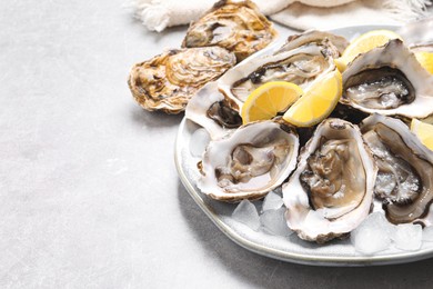 Photo of Fresh oysters with lemon and ice on grey table, closeup. Space for text