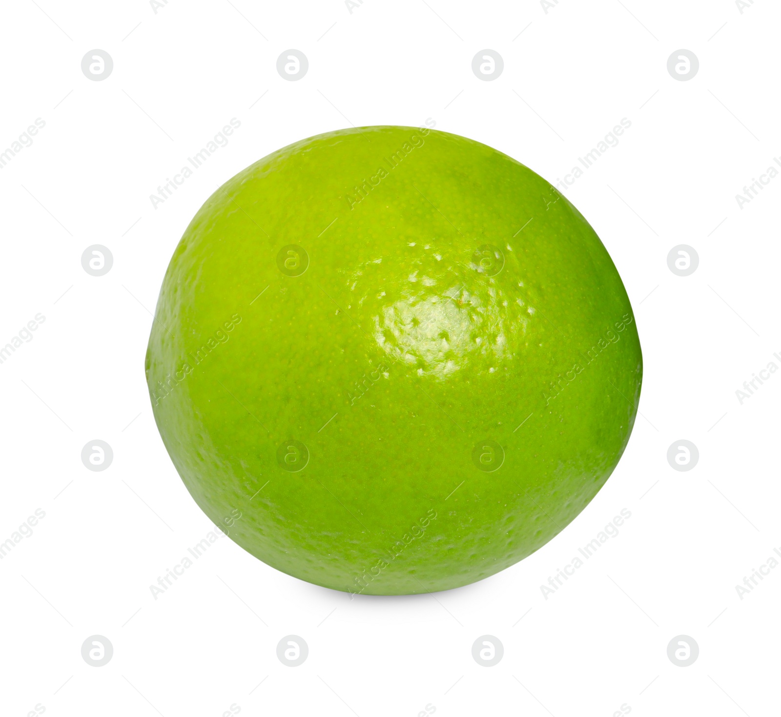 Photo of Citrus fruit. One fresh lime isolated on white