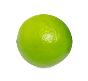 Citrus fruit. One fresh lime isolated on white