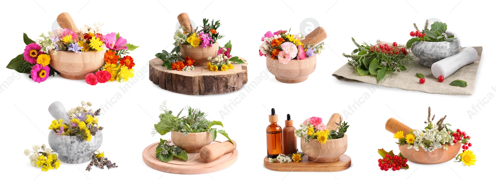 Image of Mortars with flowers and herbs on white background, collage design