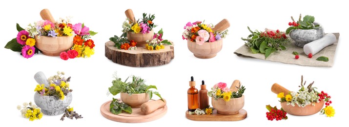 Image of Mortars with flowers and herbs on white background, collage design