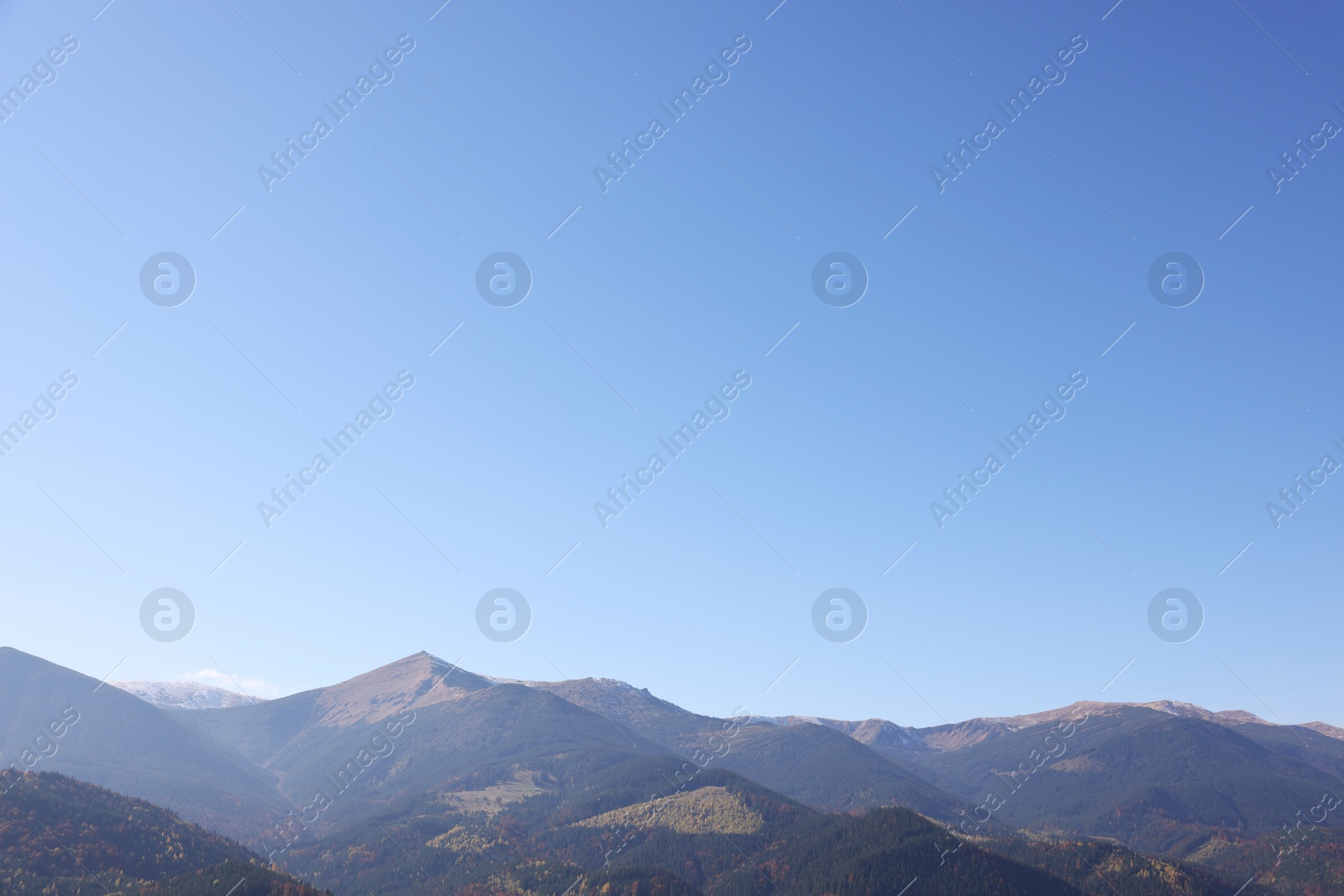 Photo of Beautiful mountain landscape with forest on sunny autumn day