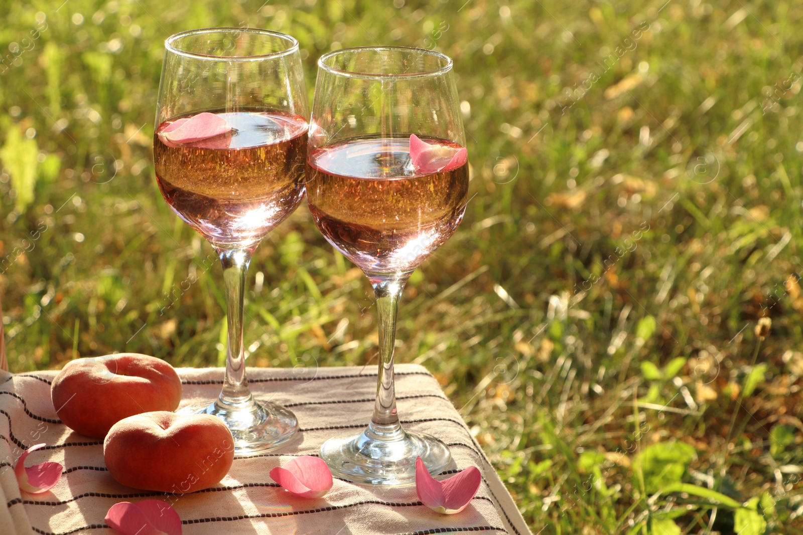 Photo of Glasses of delicious rose wine with petals and peaches on white picnic blanket outside. Space for text