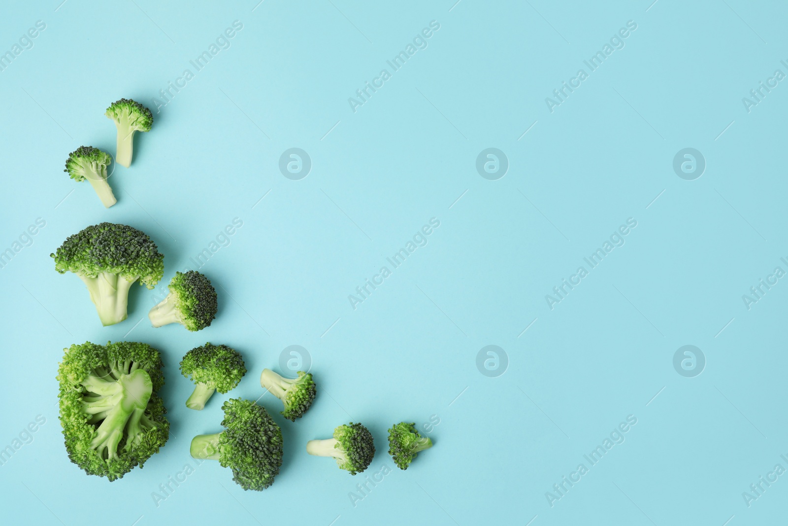 Photo of Flat lay composition with fresh green broccoli on color background. Space for text