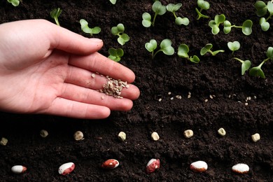 Photo of Woman with radish seeds near fertile soil, top view. Vegetable growing