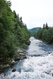 Photo of Wild mountain river flowing along rocky banks in forest