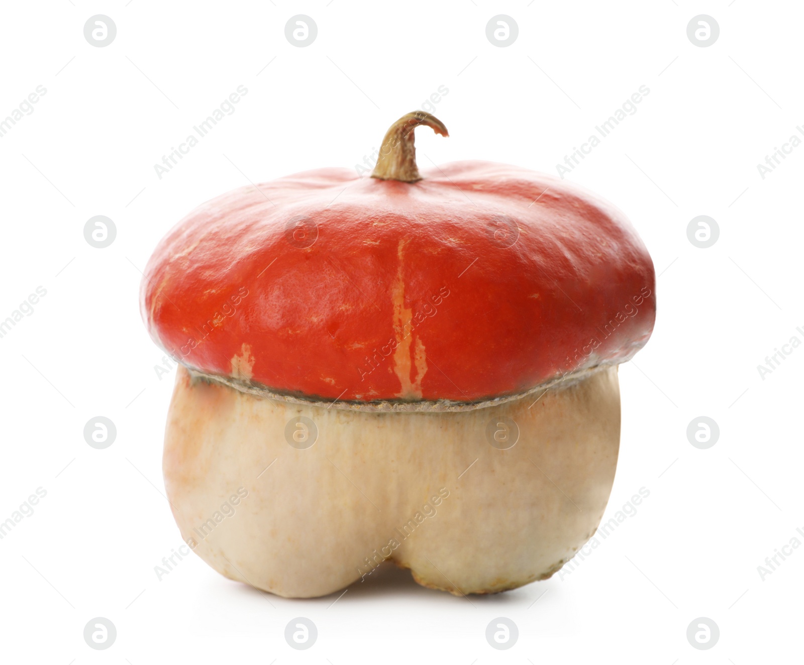 Photo of Fresh raw pumpkin isolated on white. Organic plant