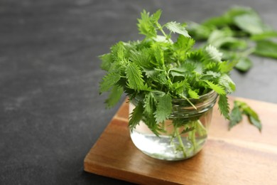 Photo of Fresh stinging nettles in jar on black table, closeup. Space for text