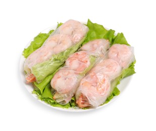 Tasty spring rolls served with lettuce on white background