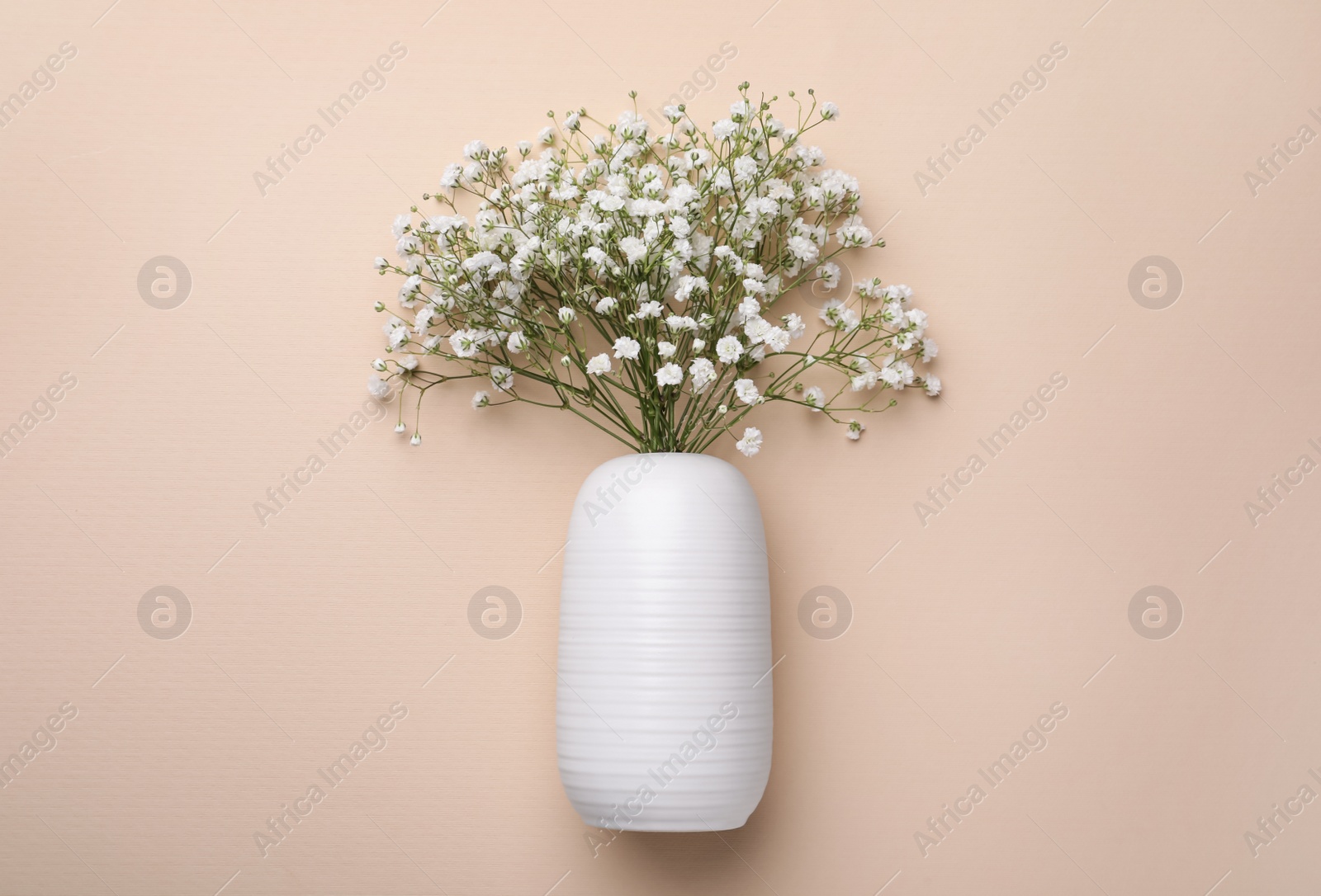 Photo of Beautiful gypsophila flowers in vase on beige background, top view