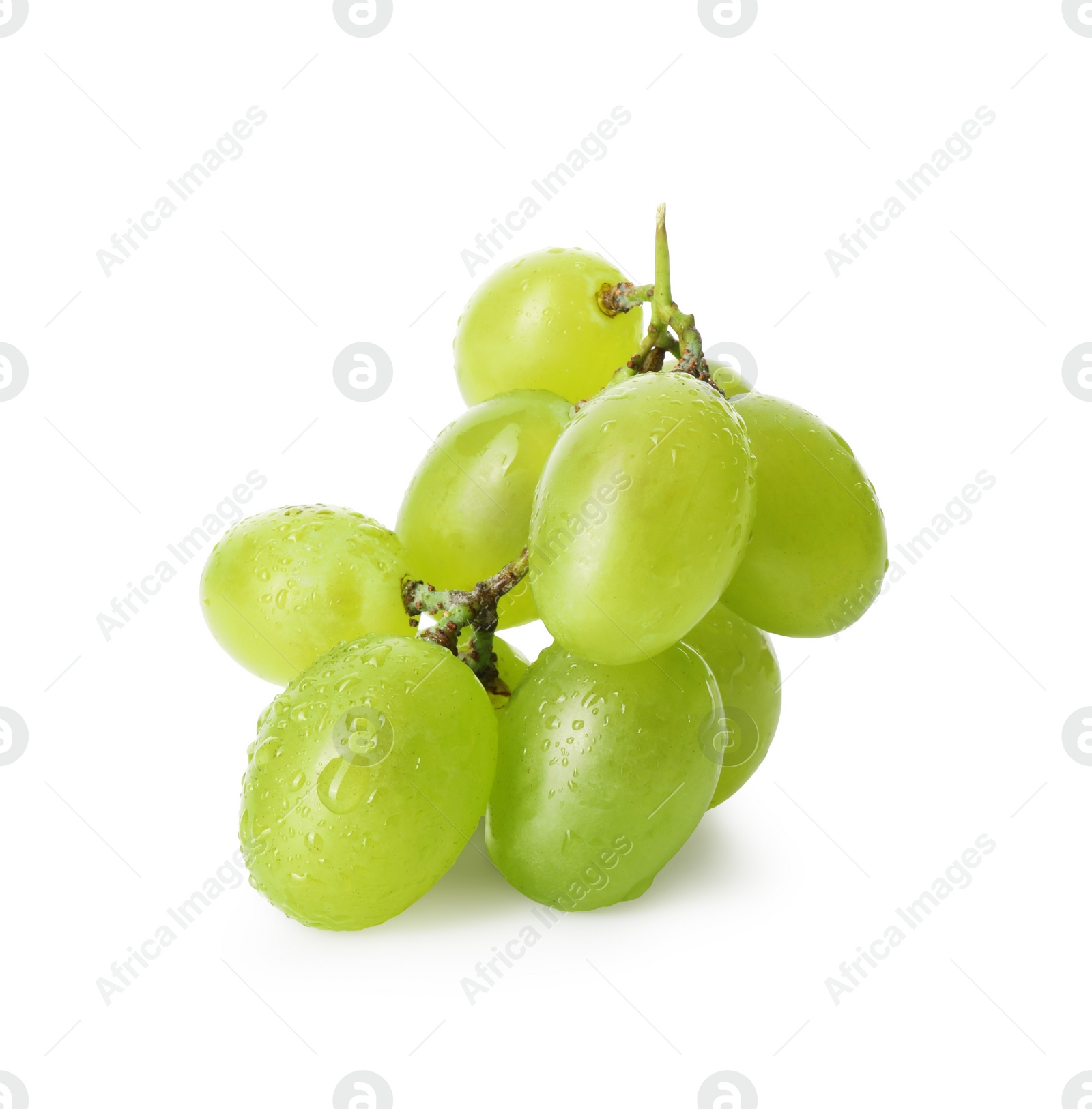 Photo of Fresh grapes with water drops isolated on white