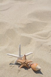 Photo of Beautiful starfishes and sea shell on sandy beach, space for text