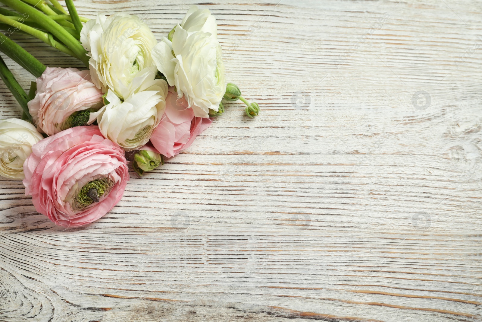 Photo of Beautiful ranunculus flowers on wooden background