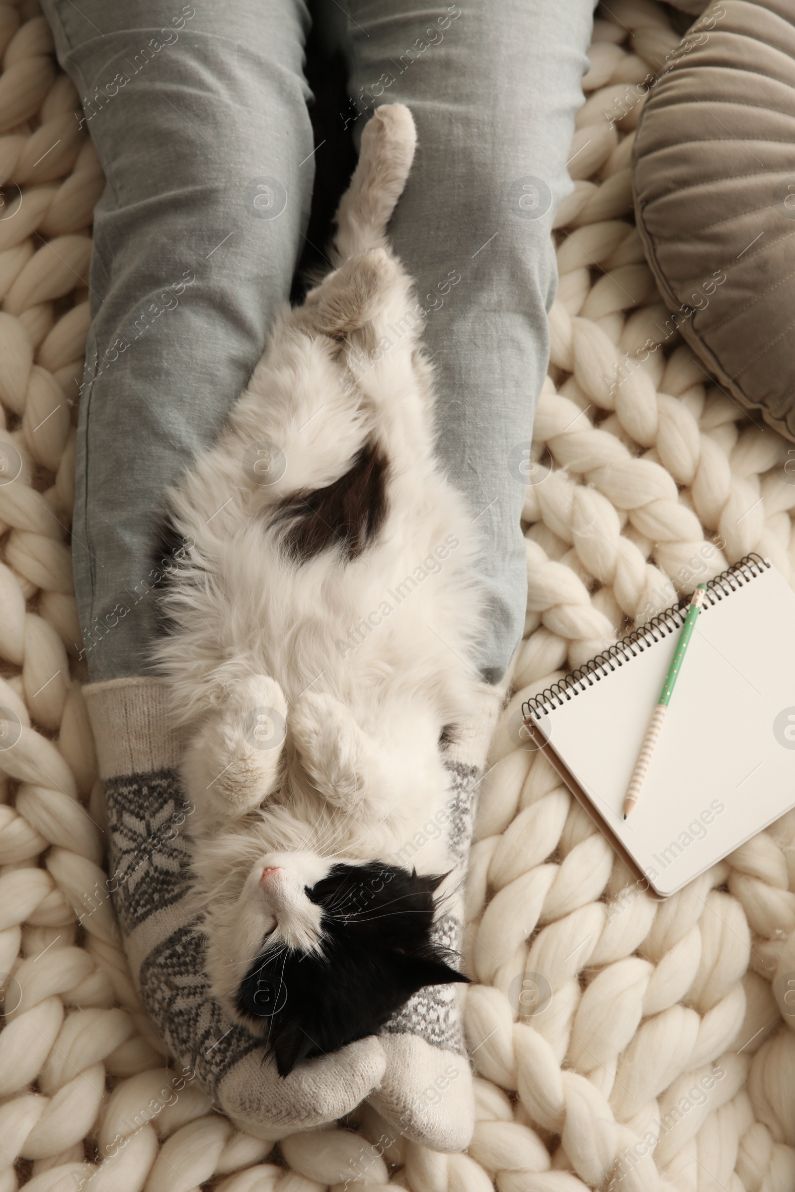 Photo of Woman with adorable cat on knitted blanket, top view