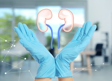 Image of Closeup view of doctor indoors and illustration of kidneys