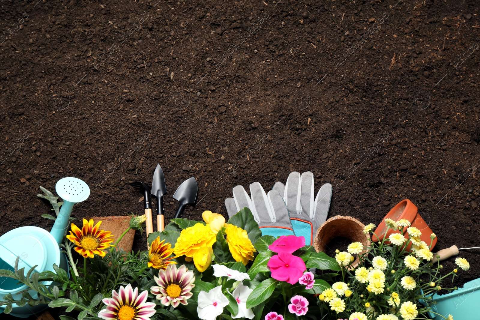 Photo of Flat lay composition with gardening tools and flowers on soil, space for text