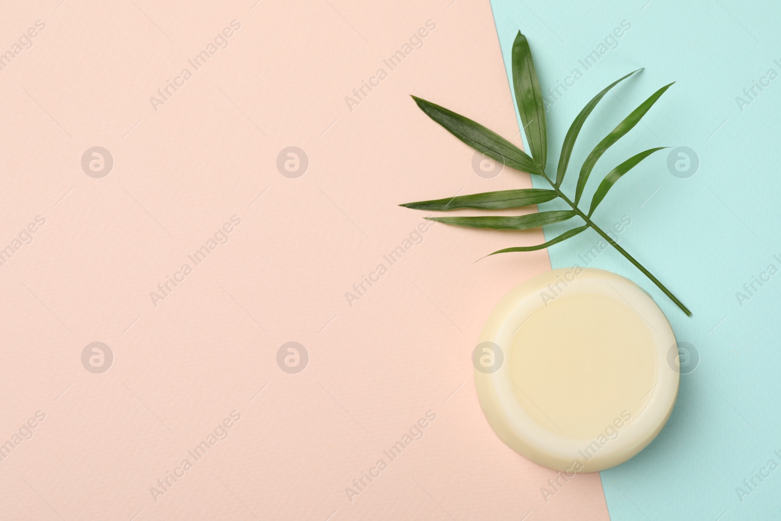 Photo of Solid shampoo bar and leaf on color background, top view. Space for text
