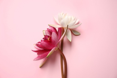 Photo of Beautiful blooming lotus flowers on pink background, flat lay
