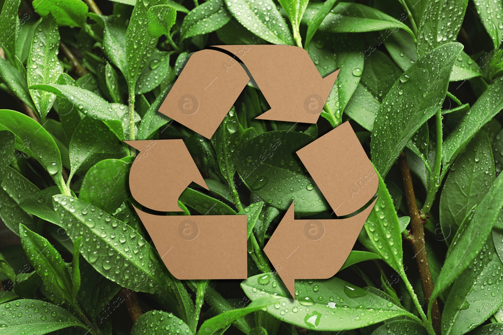 Image of Recycling symbol cut out of kraft paper and fresh green leaves on background