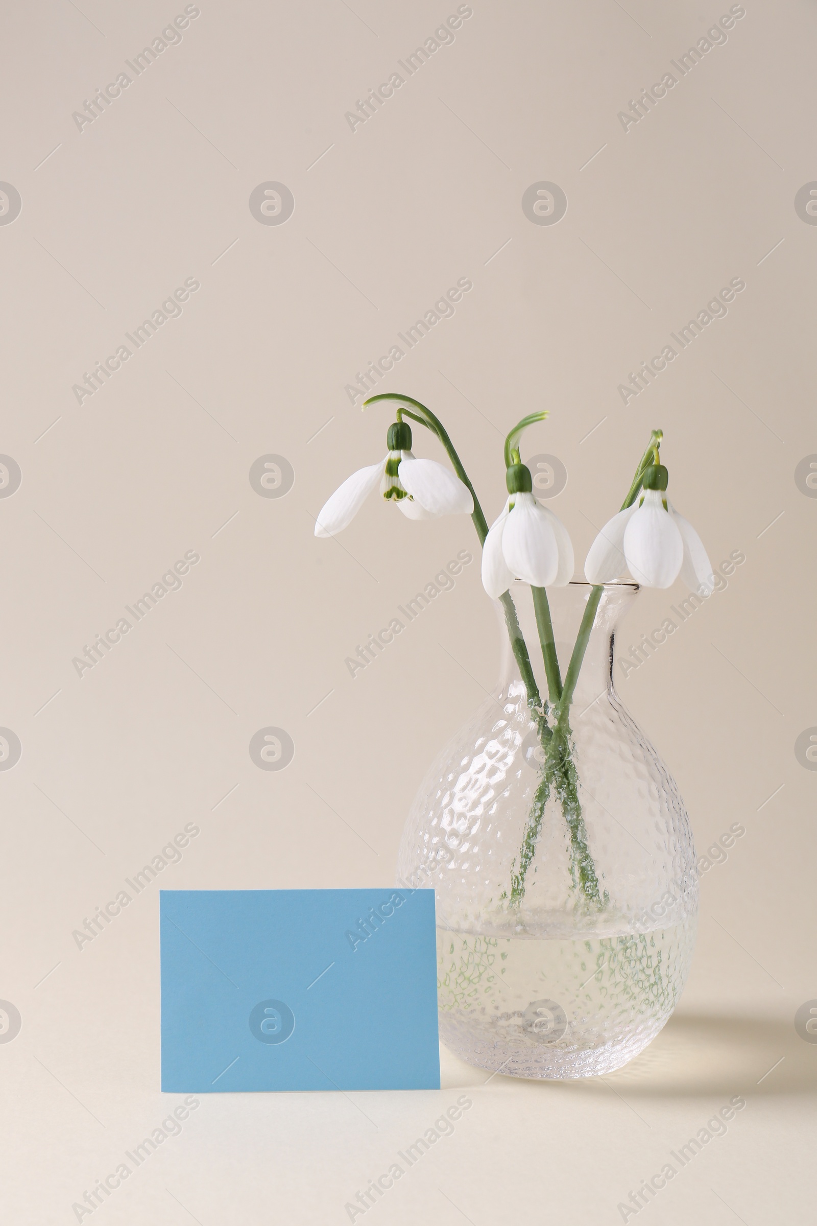 Photo of Beautiful snowdrops and paper card on beige background. Space for text