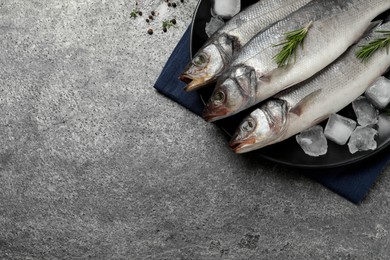 Photo of Sea bass fish and ingredients on grey table, flat lay. Space for text