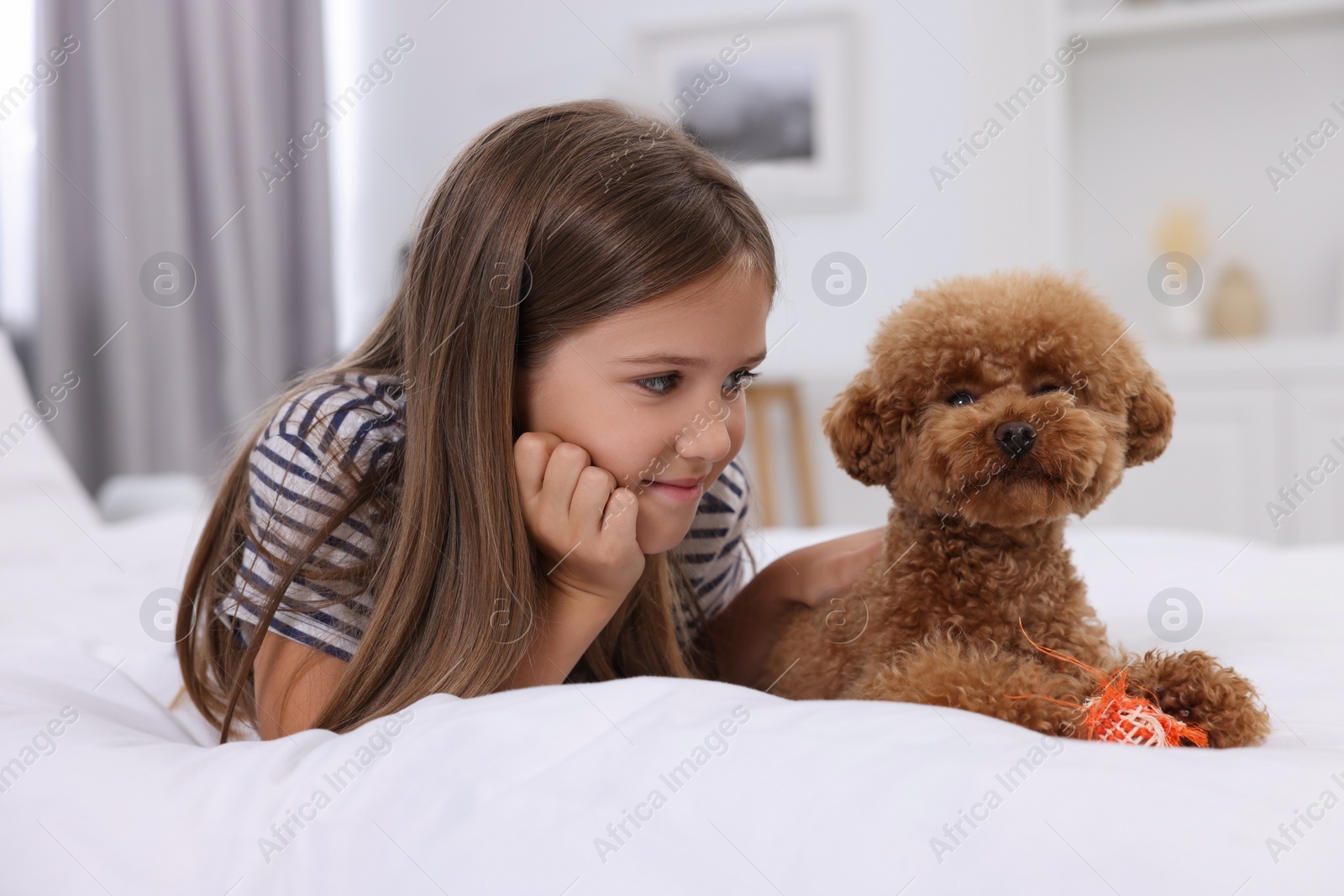 Photo of Little child and cute puppy on bed at home. Lovely pet