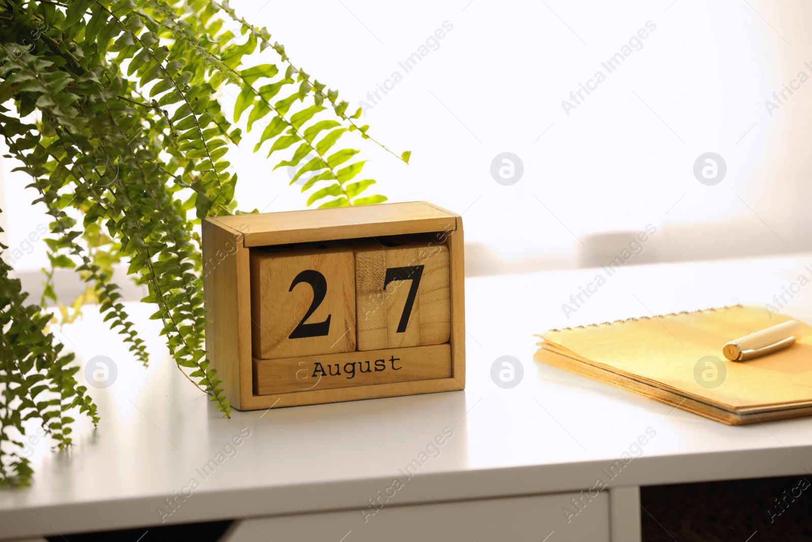 Photo of Wooden block calendar and plant on white table indoors