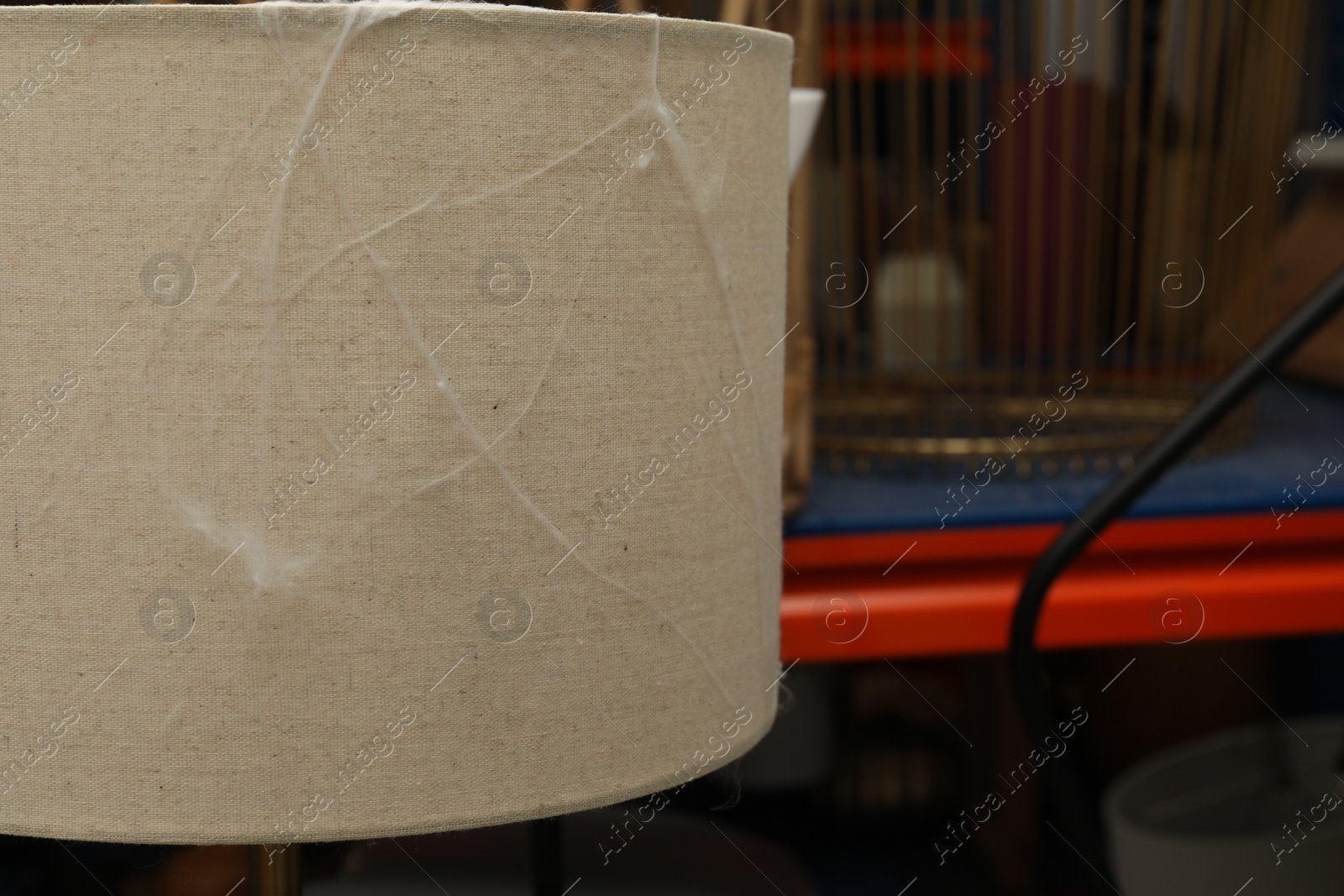 Photo of Old cobweb on lamp in room, closeup