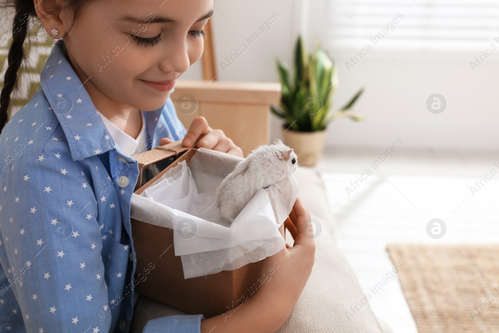 Photo of Happy little girl holding gift box with cute hamster at home. Space for text