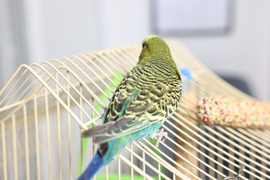 Photo of Beautiful bright parrot on cage indoors. Exotic pet