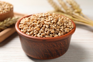Wheat grains in bowl on white wooden table, closeup