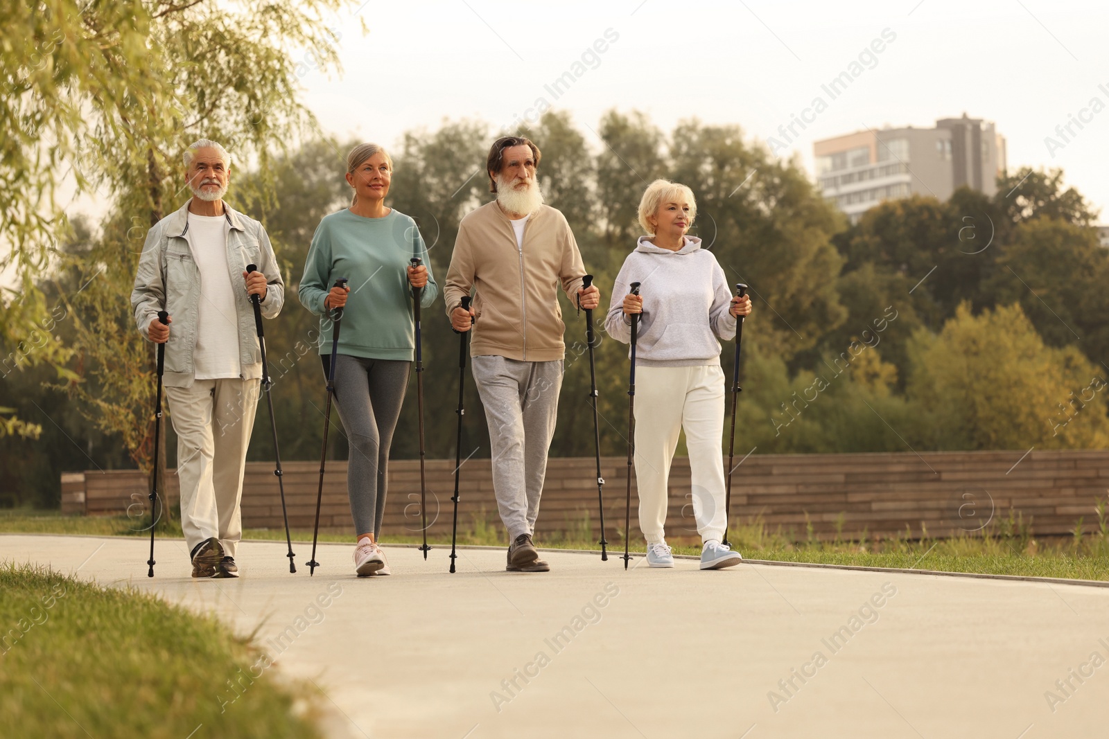 Photo of Group of senior people performing Nordic walking outdoors, space for text. Low angle view