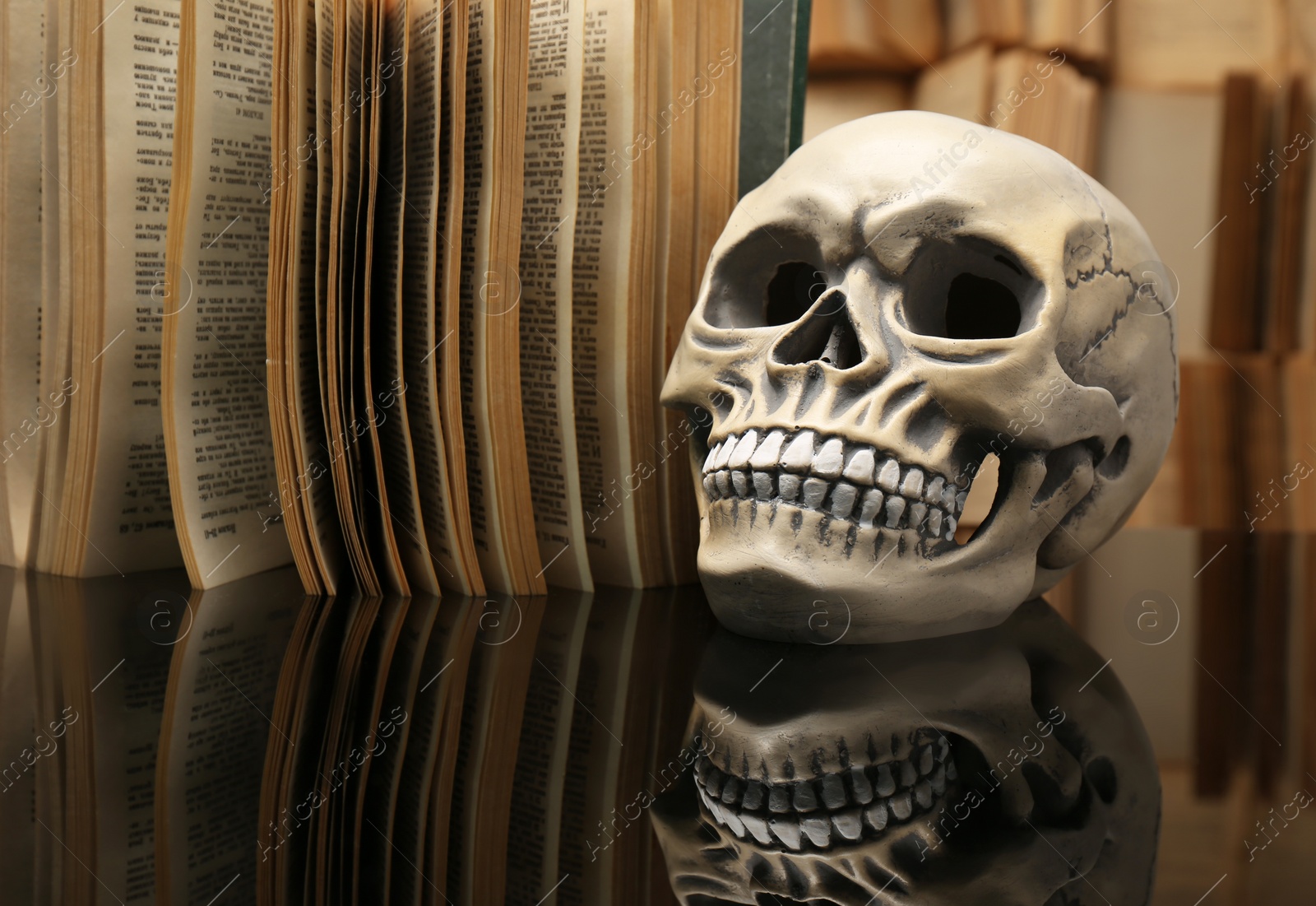 Photo of Human skull and old book on mirror table