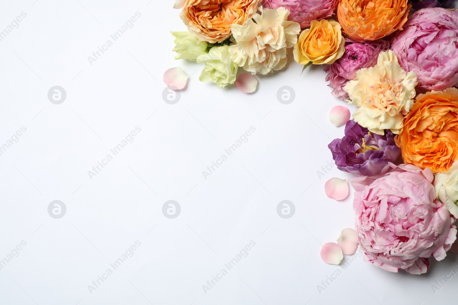 Photo of Beautiful floral composition with flowers on white background, flat lay. Space for text