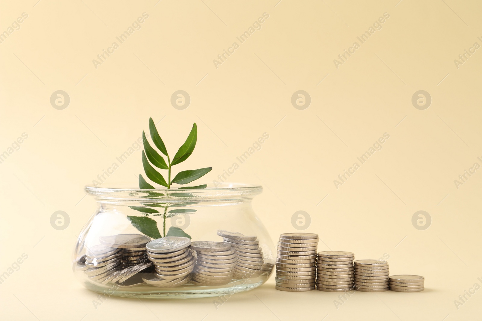 Photo of Financial savings. Coins, twig and glass jar on beige background