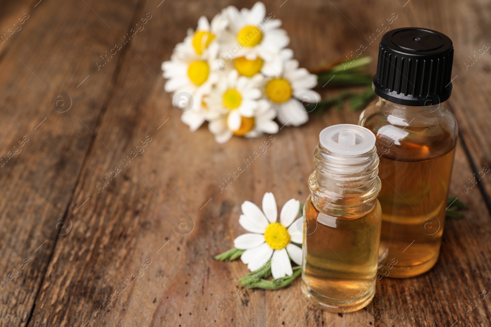 Photo of Composition with bottles of chamomile essential oil on table. Space for text