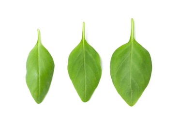 Photo of Fresh green basil leaves on white background, top view