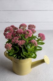 Beautiful bouquet of pink wildflowers in watering can on white table